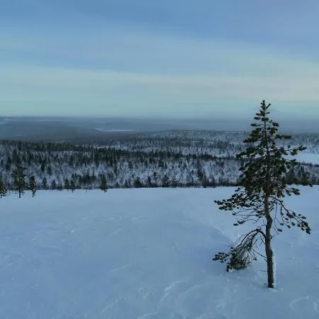 Ecocabins Campsite Lemmenjoki